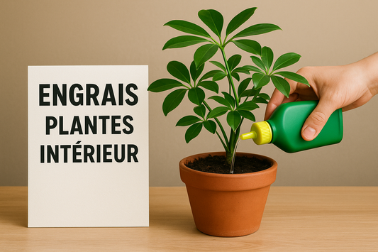 Engrais Liquide Plantes Intérieur 1-20L - Nutrition